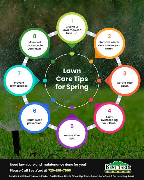 lawn care tips  spring bestyard