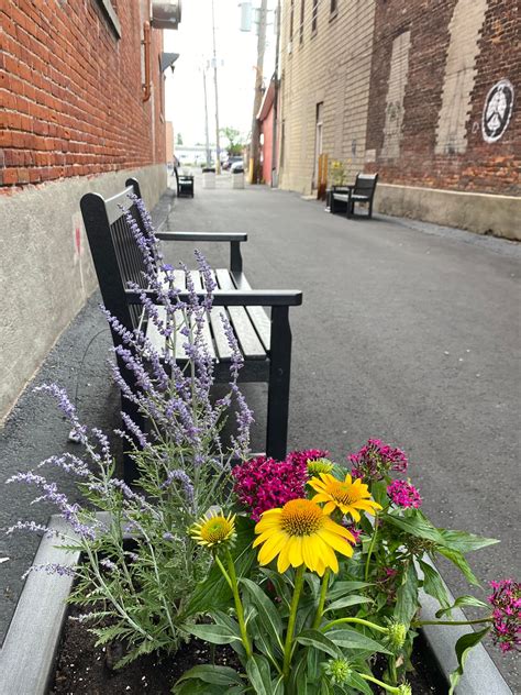 The Power of Legacy in Our Alpena Obituaries and Tributes Online