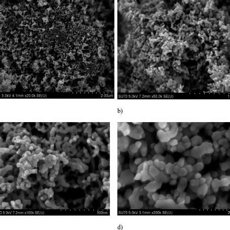 SEM Microscopy Of Zinc Oxide ZnO Nanoparticles At Different