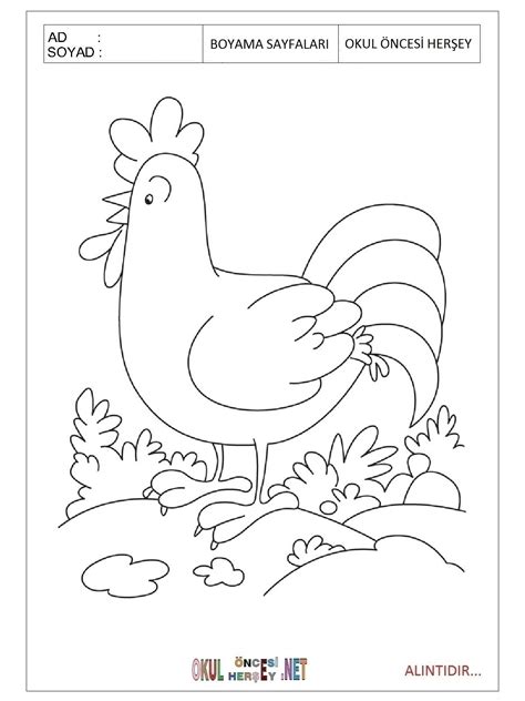 Петух раскраска цветная | Смотреть 67 фото бесплатно