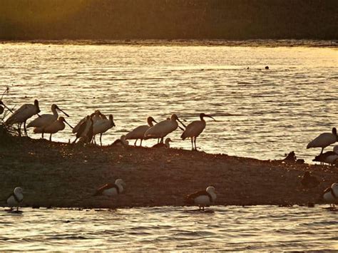 St Lawrence Wetlands - best camping between Sarina and Rocky - Travel Spiced Life