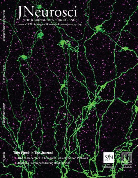 Table Of Contents — January 23 2019 39 4 Journal Of Neuroscience