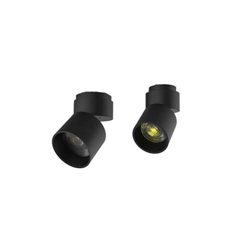 Blackwhite 12w Spot Light At Best Price In Mumbai Ritz Technology