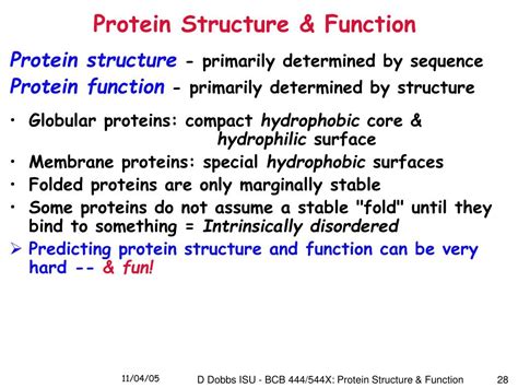 protein structure function powerpoint  id