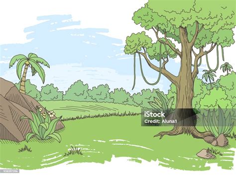 hutan hutan warna grafis lanskap sketsa ilustrasi vektor ilustrasi stok