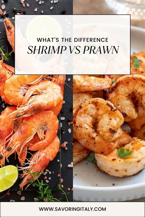 Whats The Difference Between Shrimp And Prawns Savoring Italy