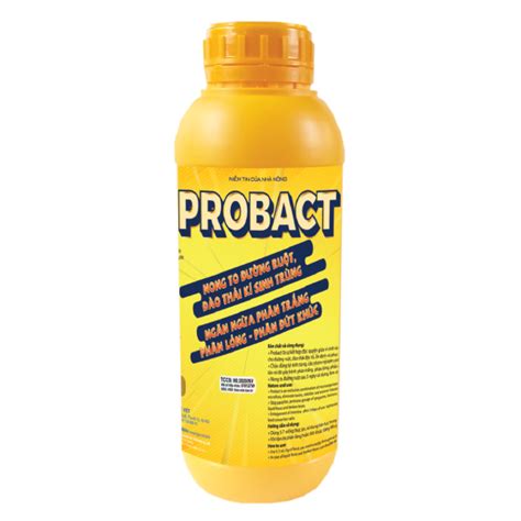 PROBACT Ngocvietgroup