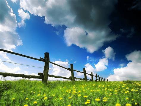 Nubes De Hierba Campos De Primavera Campos De Naturaleza Arte De Alta Definición Fondo De