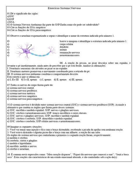 Exercicio Sobre Sistema Nervoso - Exercícios sobre o Sistema Nervoso 6º Ano | PDF | Sistema nervoso ...