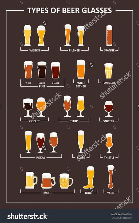 Beer Glasses Types Guide Beer Glasses Stock Vector (Royalty Free ...