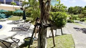 Bekijk 無修正スレンダー巨乳の痴女セフレに大量中出し Doggy 巨乳 痴女 Porn SpankBang