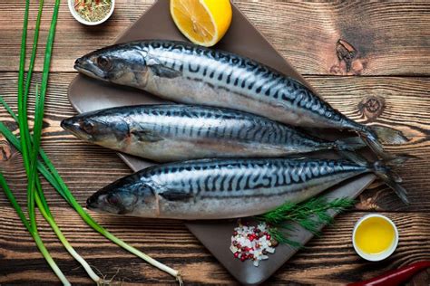 Apa Nama Anak Ikan Sardin Colin Terry