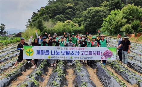 정읍시새마을회 새마을문고 정읍시지부 나눔텃밭 조성 고구마 식재