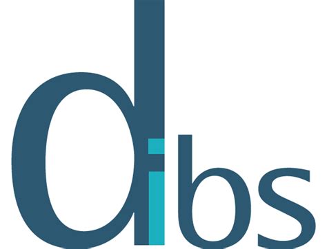 dibs conseil dibs marketing