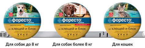 Ошейник «Форесто»: отзывы и использование