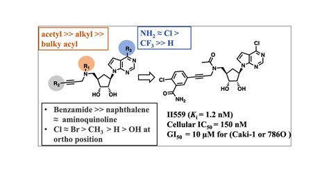Structure–Activity Relationship Studies on Cell-Potent Nicotinamide N ...