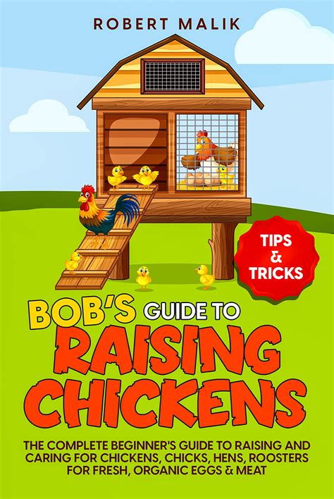 Bob's Guide to Raising Chickens: The Complete Beginner's Guide to