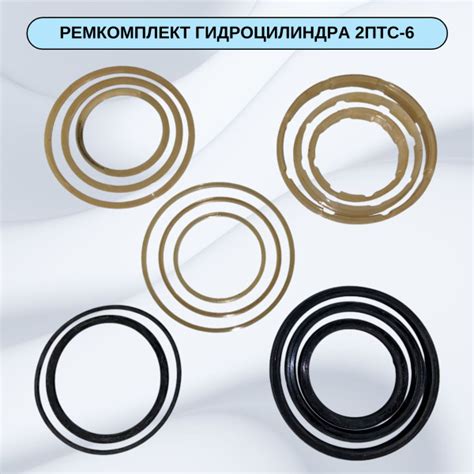 Ремкомплект гидроцилиндра 2ПТС-6 (с защитными кольцами) (ВИТЯЗЬ №60131 ...