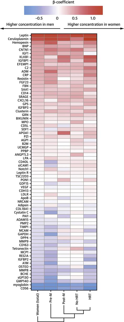 Sex Differences In Circulating Biomarkers Of Cardiovascular Disease Jacc