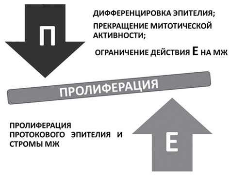 Диффузная форма фиброзно-кистозной мастопатии: симптомы, признаки и лечение