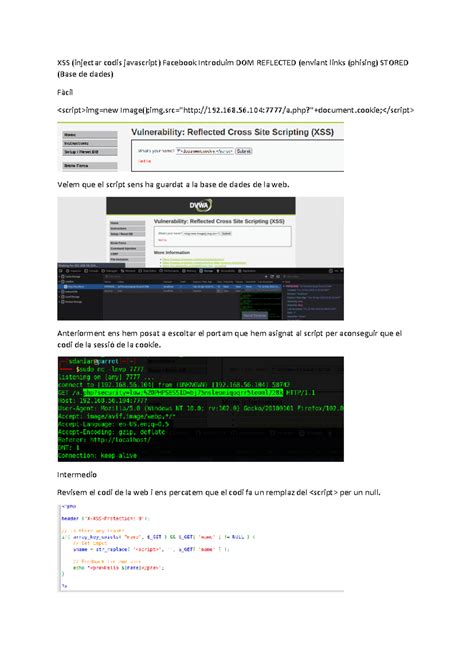 Vulnerabilidades Xss Tareas Xss Injectar Codis Javascript