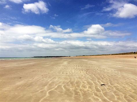 Beachcomb at Littlehampton West Beach, Littlehampton – Toddle Doddle