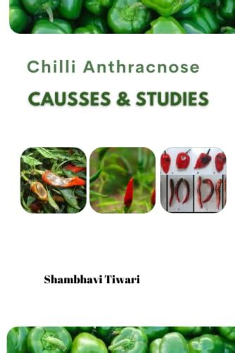 Chilli Anthracnose Causes And Studies Annotated By Farheen Kouser By