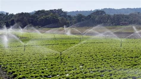 Curso Online E Gratuito De Projeto De Irriga O