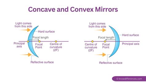 Difference Between Concave And Convex Mirror