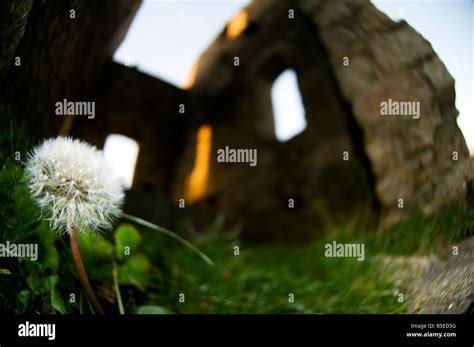 Old Cornish Tin Mine Engine House Stock Photo Alamy