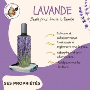 Les 5 Raisons Davoir Chez Soi Lhuile Essentielle De Lavande Vraie