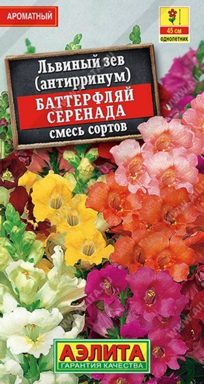 Золотая сотка алтая