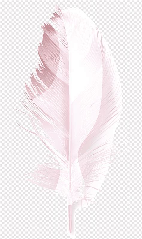 Перо, Розовое перо, животные, павлинье перо, перья png | PNGWing