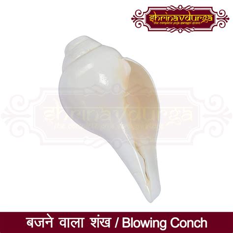 Original Blowing Shankh Pooja Samagri Store