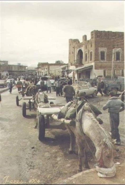 Pin By Dabin Koyi On Kurdistan Archive Serra Kurdistan Photo