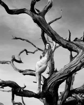 Artistic Porn Pictures Xxx Photos Sex Images Pictoa