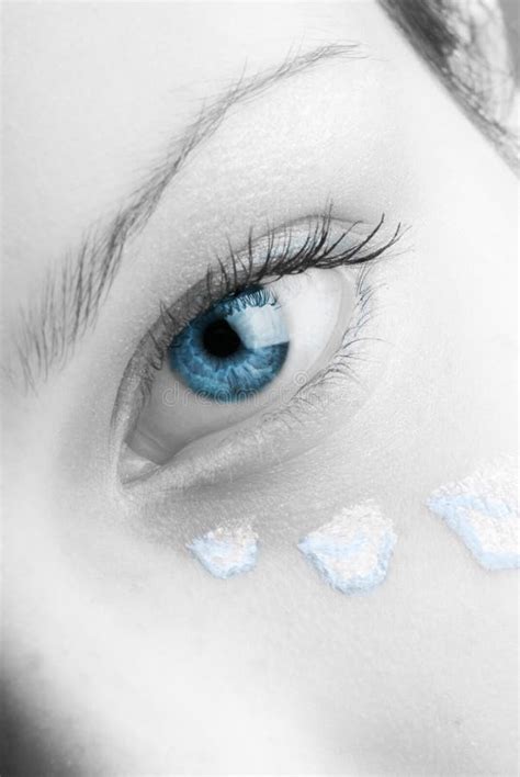 blauwe oog en bloemblaadjes stock afbeelding image  leuk