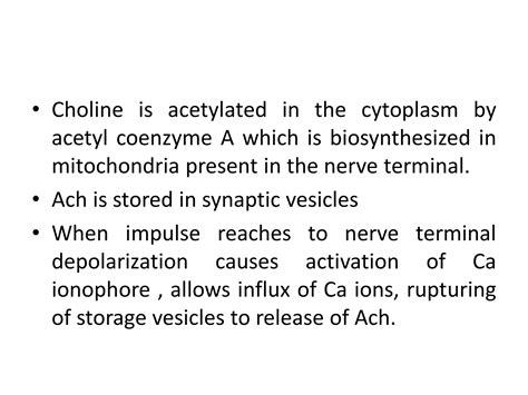 Presentation On Parasympathetic Nervous System Ppt