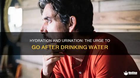 how long does it take to urinate after drinking water