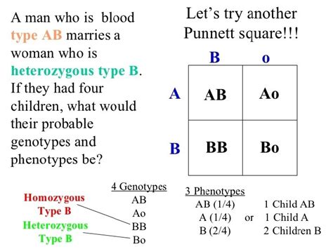 Punnett Square Notes Gregor Mendel Father Of Genetics