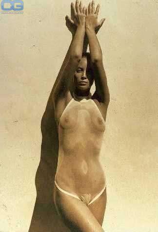 Christy Turlington Nude Pictures Photos Playboy Naked Topless Fappening