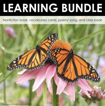 Monarch Butterflies | Kindergarten Learning Bundle | TPT