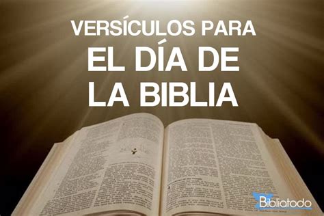 Introducir 72 Imagen Frases Sobre La Biblia Cortas Viaterra Mx