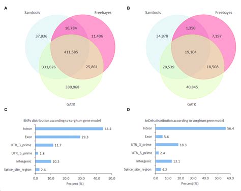 Number Of Single Nucleotide Polymorphisms Snps And Indels A Venn