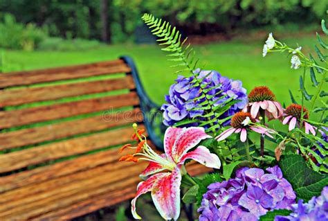 Backyard landscape stock photo. Image of flower, tree - 2736152