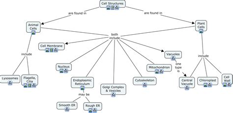 Cell Structure Concept Map | The Best Porn Website