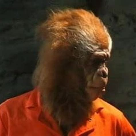 Asia Carrera Planet Of The Babes Free Porn Ec XHamster XHamster