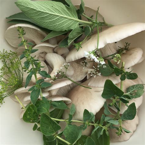 This guide explains how to find the services that are closest to you 29