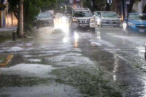 Lluvias En Cdmx Dejan Encharcamientos Y Rboles Ca Dos Grupo Milenio