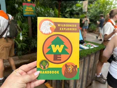 wilderness explorer badges